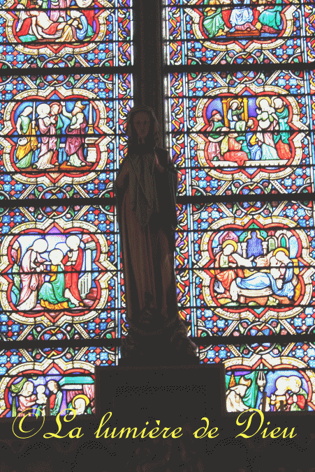 La cathédrale Notre-Dame de Paris