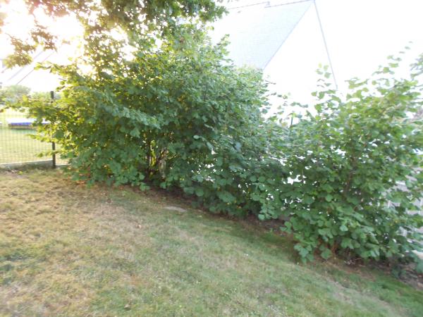 Un petit tour de jardin ... !!!