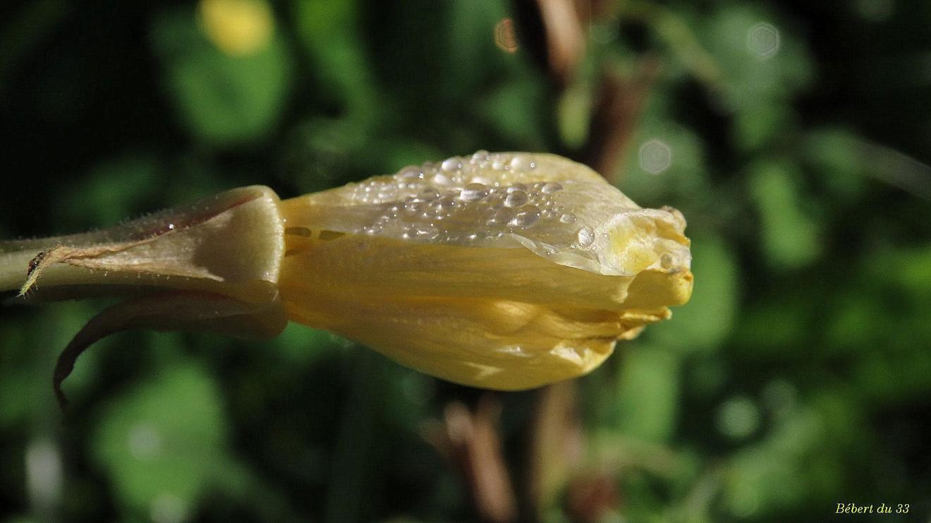 mes photos plaisir d'Octobre 