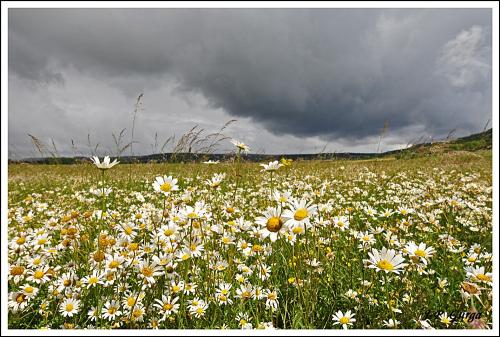 Paysages châtillonnais par Jean-Pierre Gurga...