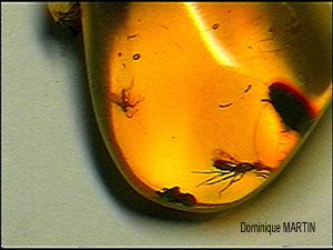 Photos insolites du monde minéral