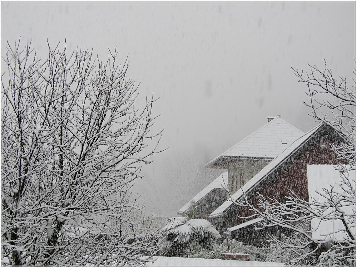 UN TEMPS DE SAISON JANVIER 23