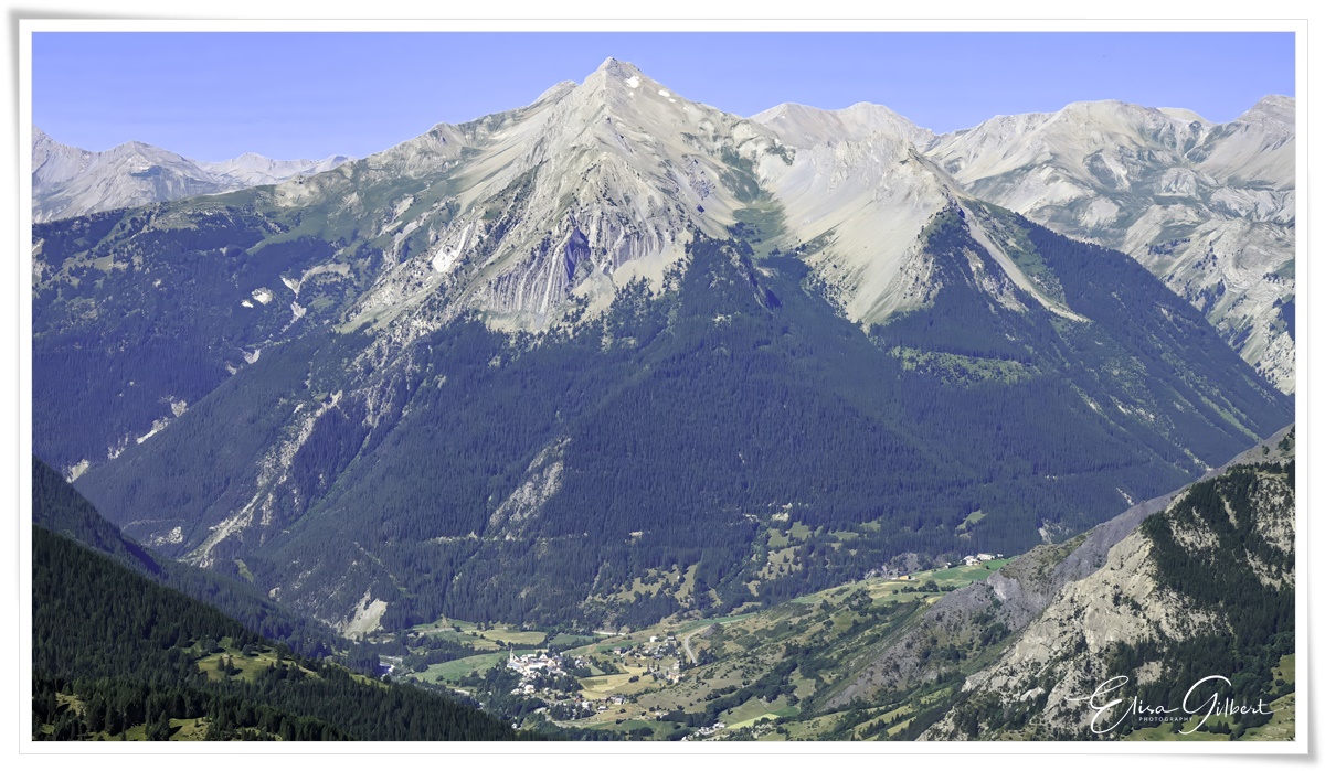 A la rencontre de l'Edelweiss