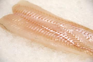Boulogne-sur-Mer, ne manquez pas les étals de poissons