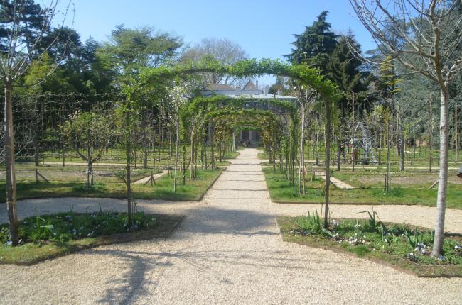 Promenade avec Arlette au Jardin Albert Kahn