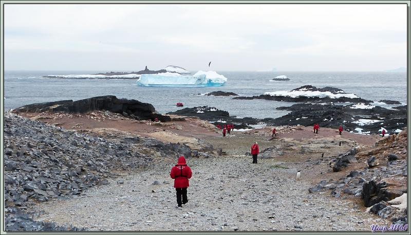 Retour de randonnée dans Gourdin Island en vue de l'embarquement