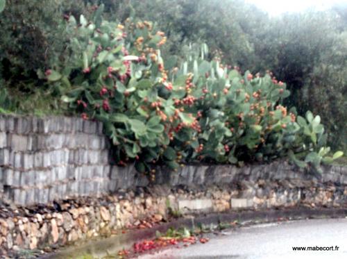 Lundi 19 au dimanche 25.10 + Bonus