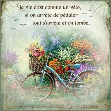 ღ꧁ღ╭⊱ꕥ A Méditer  ꕥ⊱╮ღ꧂ღ