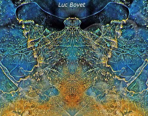 Luc Bovet