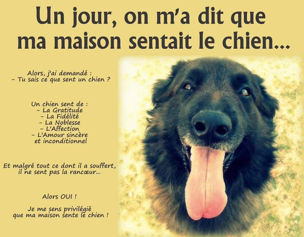 ღ꧁ღ╭⊱ꕥ  La Complainte  ꕥ⊱╮ღ꧂ღ
