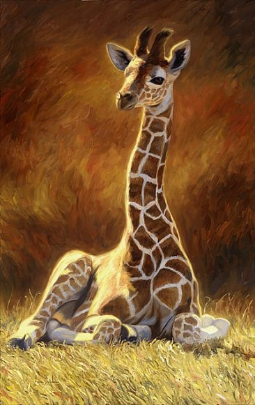 321_Baby_Giraffe 321_Baby_Giraffe