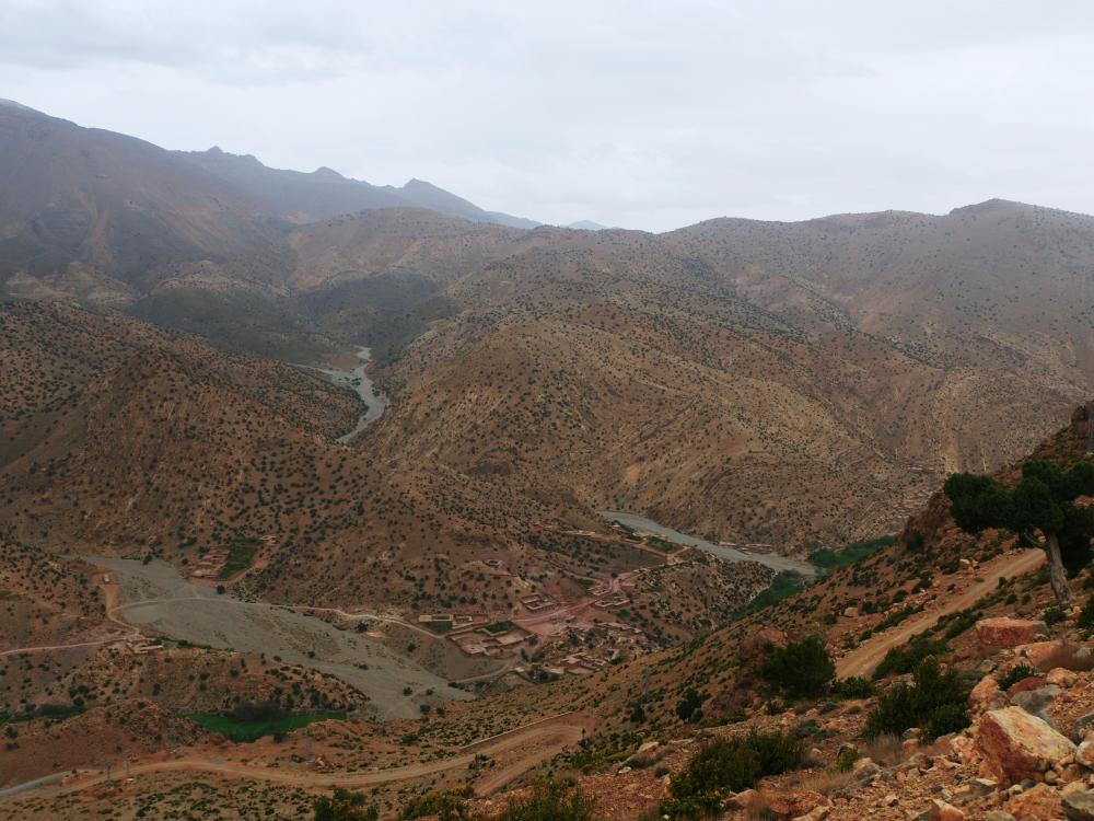 Bou Tharar - Tabant (1) 