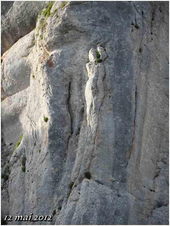 (J38) Agès / Villafranca Montès de Oca 12 mai 2012 (2)