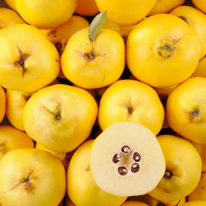 Fruits du mois de septembre