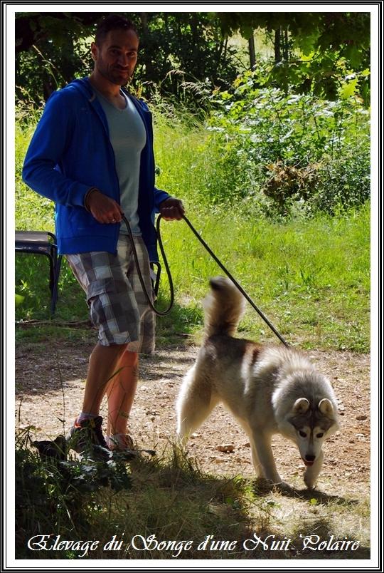Rencontre Songe d'une Nuit Polaire (9 juin 2019)