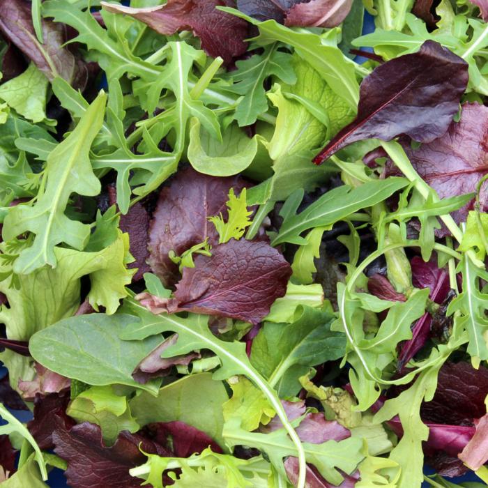 Légumes du mois de Juin