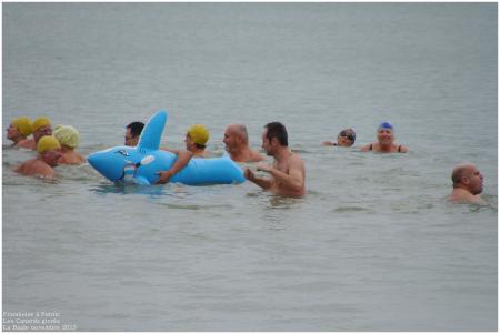 Les canards givrés à la Baule 2013