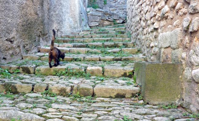 ☻ Vacances 2022 : promenade dans les villages de Mane et de Lurs