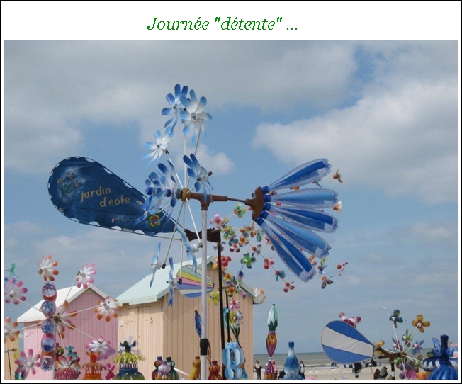 Ils volent, ils volent ...