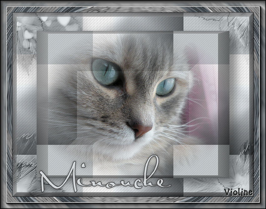 Minouche