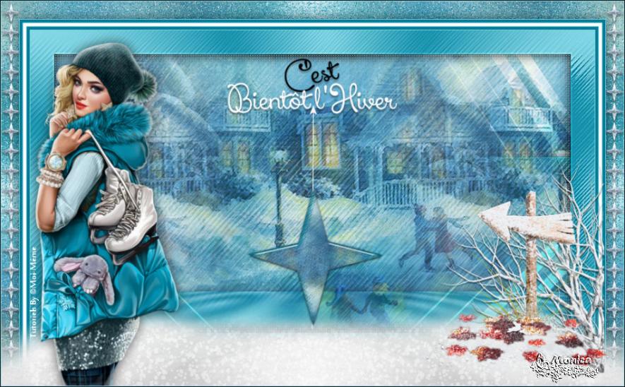 C'est bientôt l'Hiver