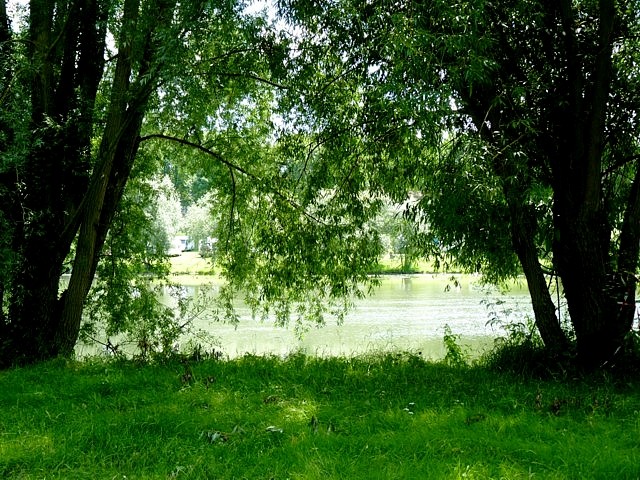 Le long de la Moselle 8 Marc de Metz 2012