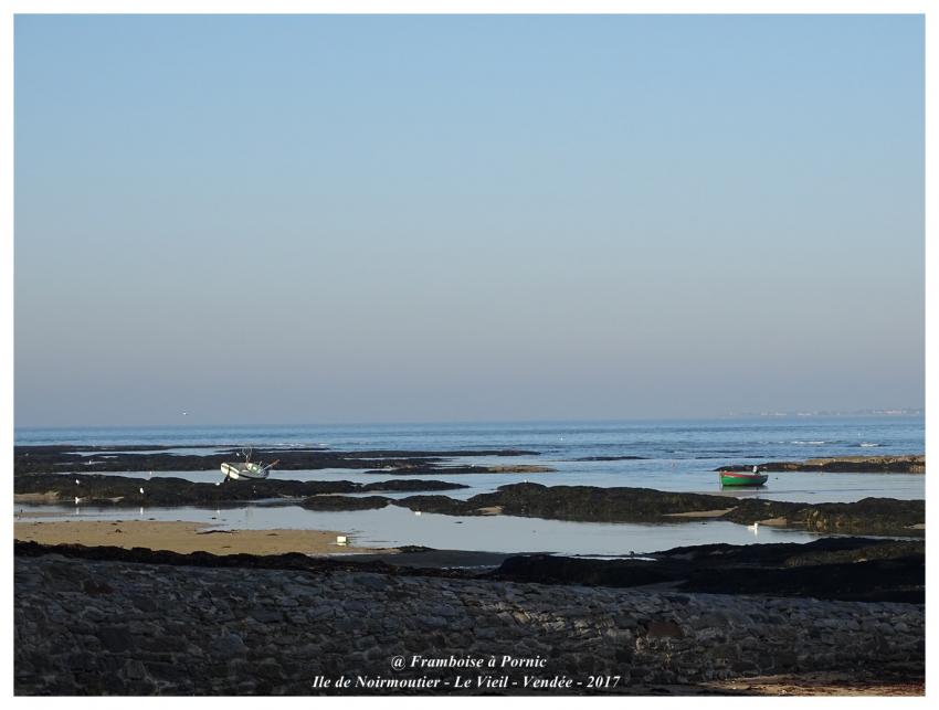 Ile de Noirmoutier - le Vieil - Vendée - 