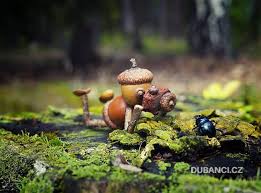 Dubanci