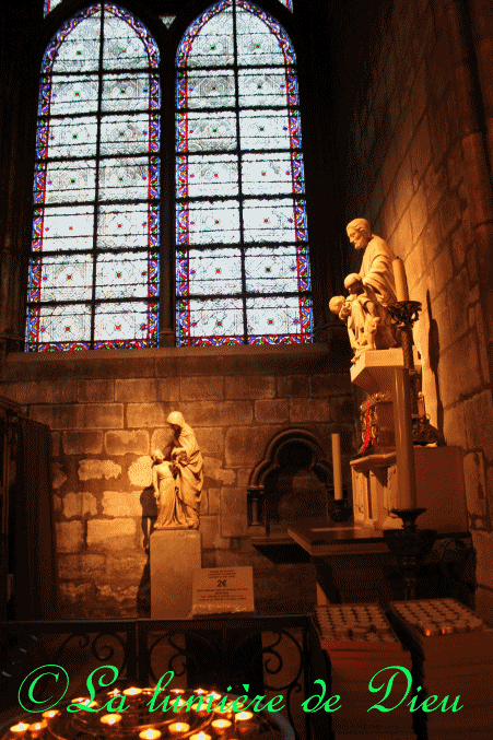 La cathédrale Notre-Dame de Paris