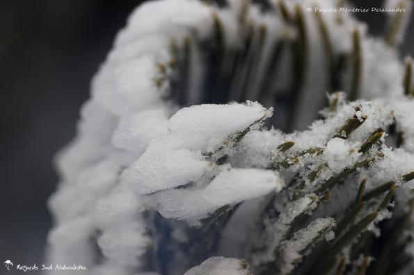 Vent et neige... 