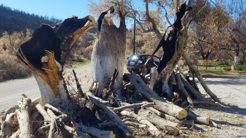 La flamme de l'espoir