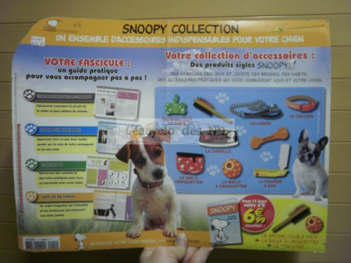 M6 Publications