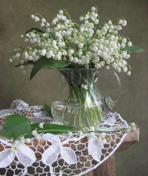 fleurs de mai