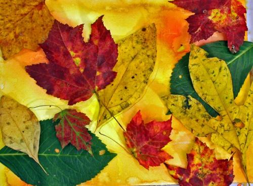 Dessin et peinture - vidéo 1633 : Peindre un tapis de feuilles mortes à l' aquarelle.