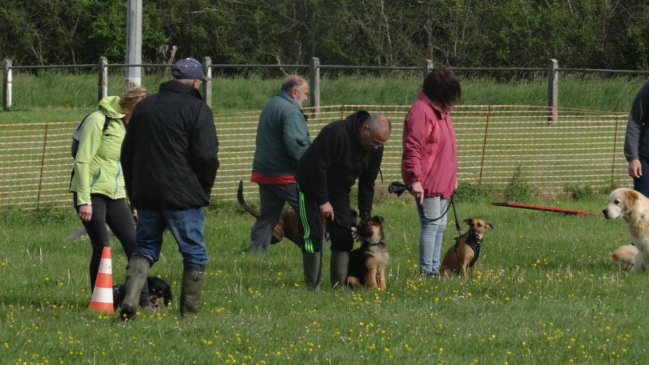 Ugo le chien qui ne parle pas français e même Allemand
