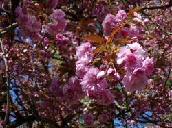 Une petite balade qui fait du bien 3 