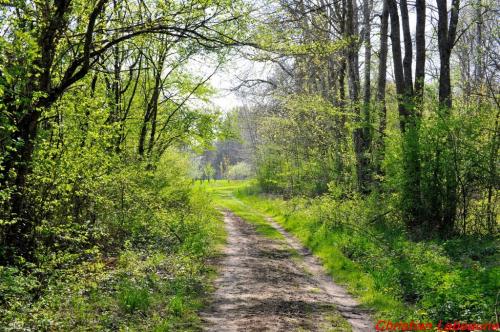 -La rencontre des Châtillon de France et d'ailleurs