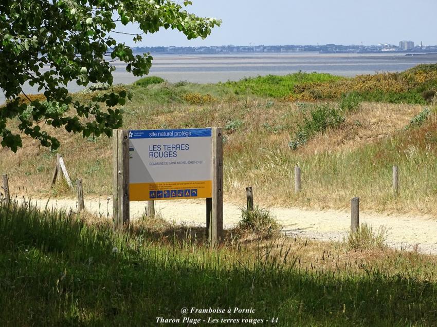 Sortie aux Terres rouges à Tharon Plage 