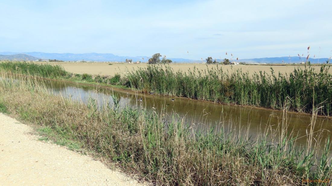 le parc naturel de l'Ebre