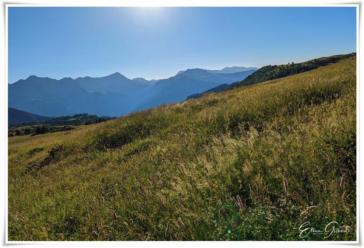 Le Col des Champs (côté Mercantour)