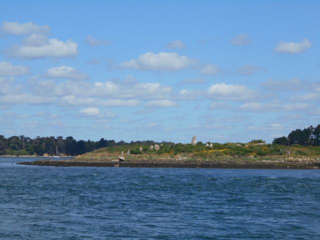 Bretagne , Le tour du Golf du Morbihan en bateau (2)