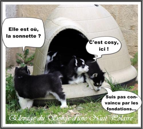 Portée d'Ourika (22 mars 2021)