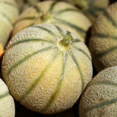 melons