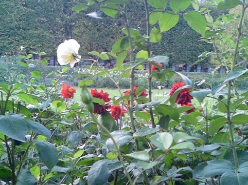 Image6