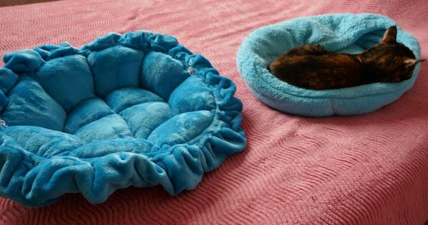 Ma nouvelle corbeille : un flop !