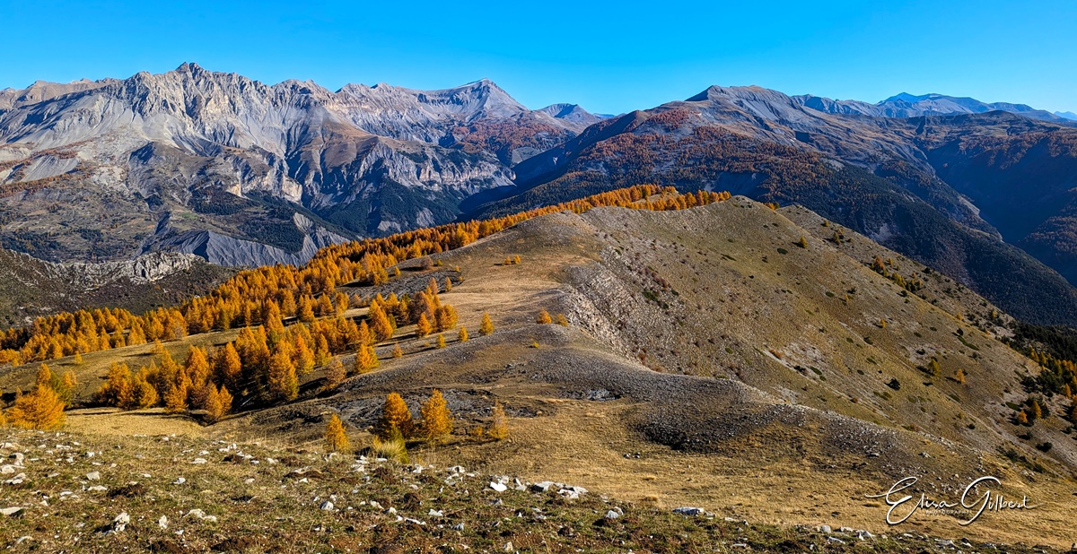 Dernier jour d'automne