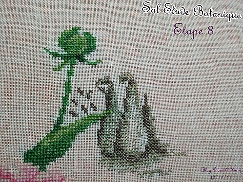 etape 8 13 12 2011 (3)