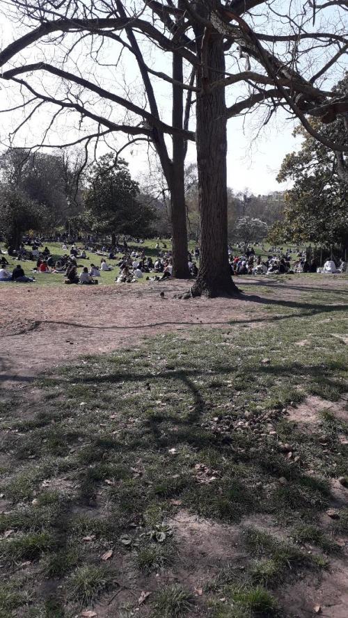 Balade au parc Monceau et blagues