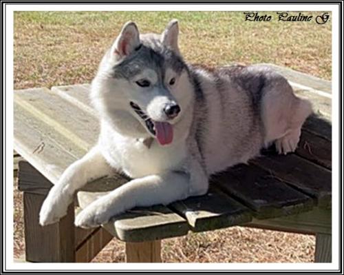 Laxa (9 ans)