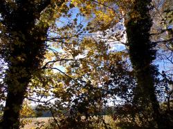 L'automne et Novembre s'écoulent tranquillement